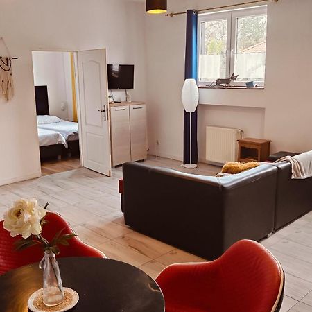 Studio Red Kot Zelená Hora Exteriér fotografie